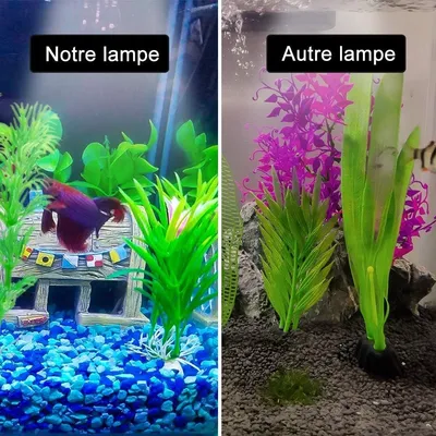 ZooVenture Led Lumière Deux Têtes D'Aquarium Pour Réservoir De Poissons