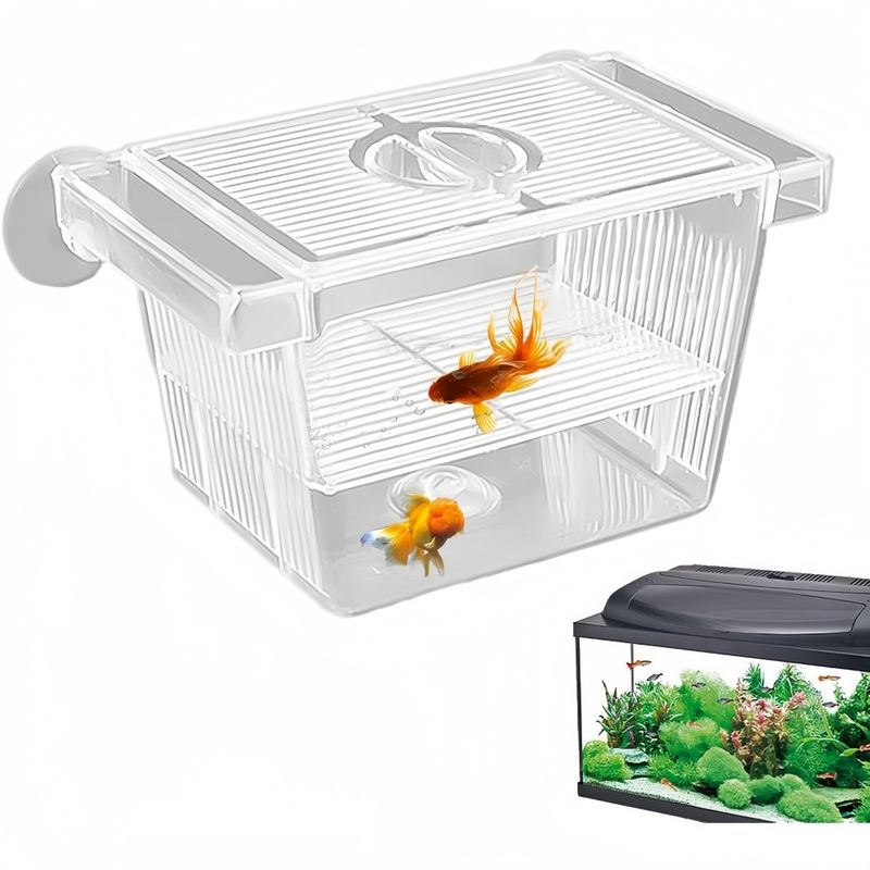ZooVenture Boîte D'Isolement Transparente Pour Aquarium