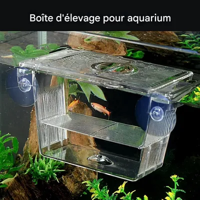 ZooVenture Boîte D'Isolement Transparente Pour Aquarium