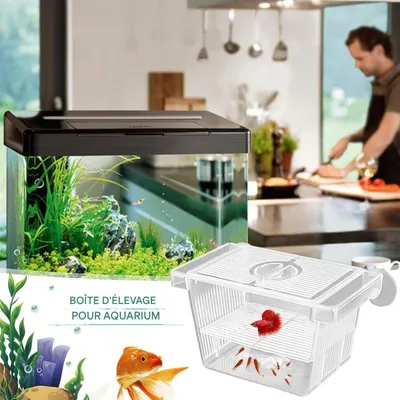 ZooVenture Boîte D'Isolement Transparente Pour Aquarium