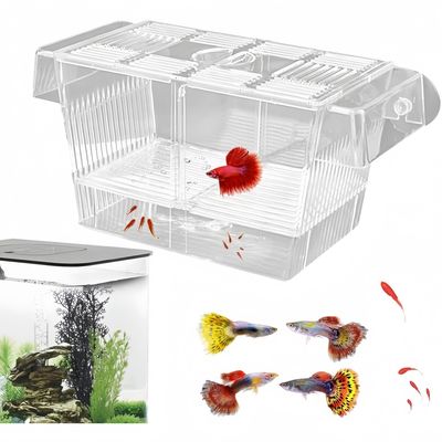 ZooVenture Boîte D'Isolement Transparente Pour Aquarium