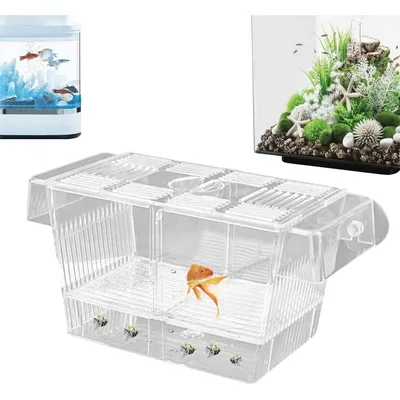 ZooVenture Boîte D'Isolement Transparente Pour Aquarium