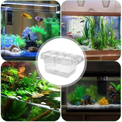 ZooVenture Boîte D'Isolement Transparente Pour Aquarium