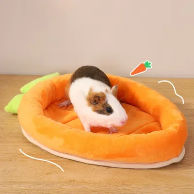 Zoomtopia Lit pour lapin