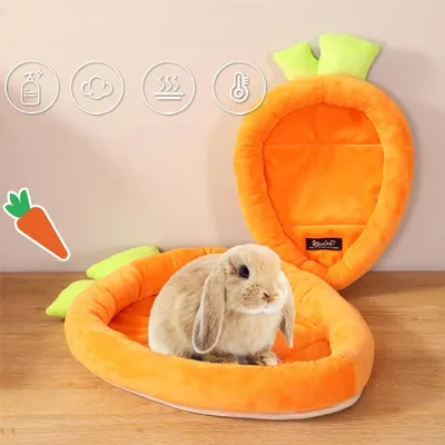 Zoomtopia Lit pour lapin