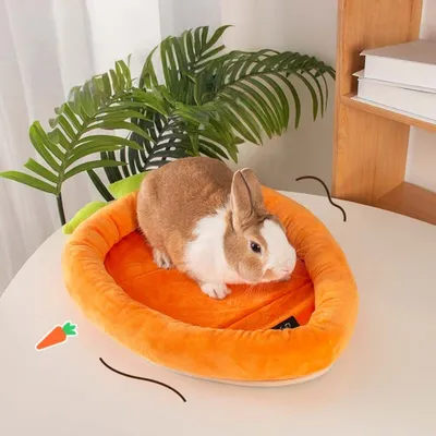 Zoomtopia Lit pour lapin