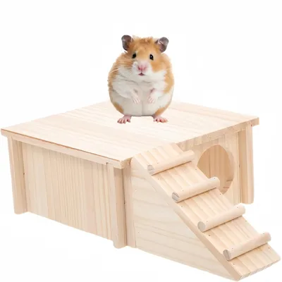 ZooVenture Maison Pour Hamster Multi - Chambres Pour Petits Animaux