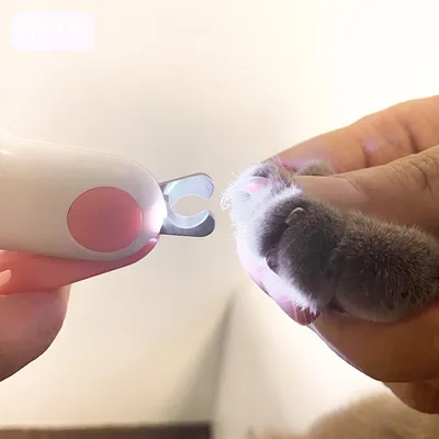 Zoomtopia Ciseaux pour ongles d'animaux de compagnie
