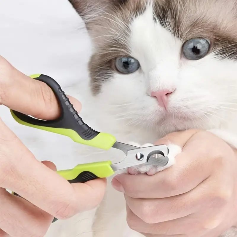 Zoomtopia Coupe - ongles pour animaux de compagnie