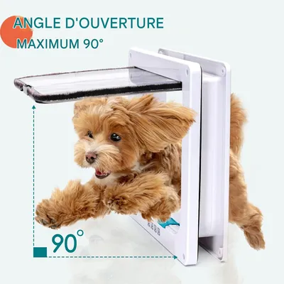 Rocky Porte pour animal de compagnie