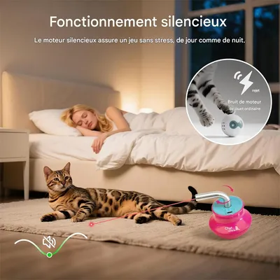 Rocky Jouet laser pour chat