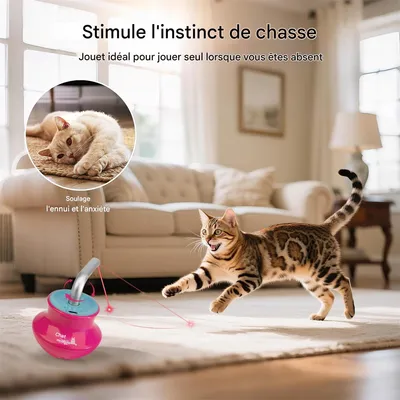 Rocky Jouet laser pour chat