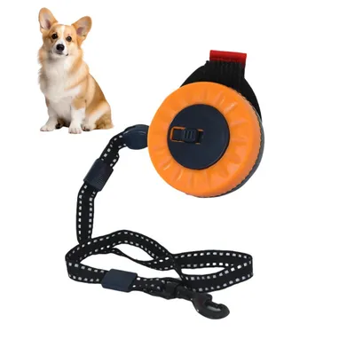 Rocky Cordon de traction télescopique pour chien