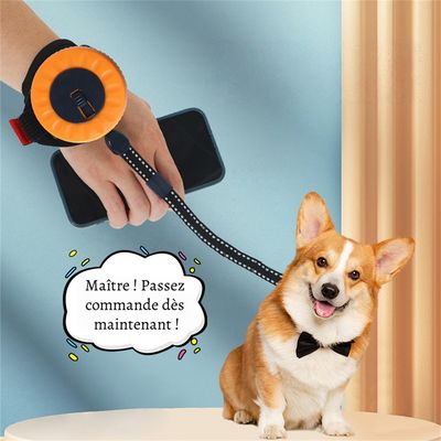 Rocky Cordon de traction télescopique pour chien