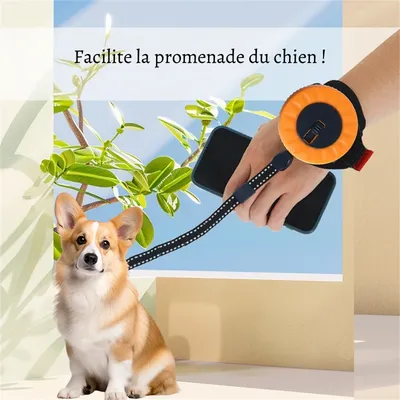 Rocky Cordon de traction télescopique pour chien