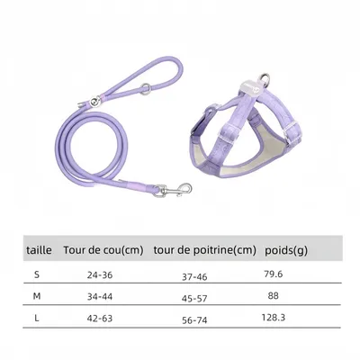 ZooVenture Ensemble harnais et laisse pour chien