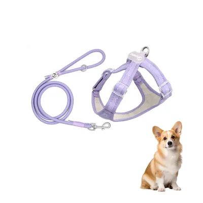 ZooVenture Ensemble harnais et laisse pour chien ZooVenture Ensemble harnais et laisse pour chien