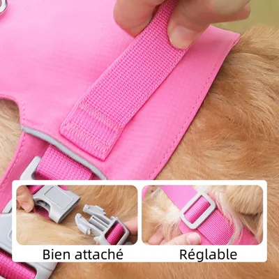 Zoomtopia Harnais NoPull pour chien