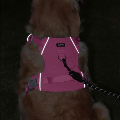 Zoomtopia Harnais NoPull pour chien
