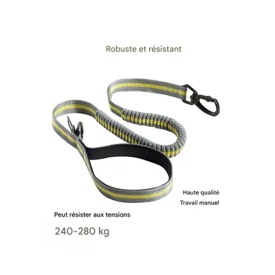 ZooVenture Laisse de chien pour moyennes et grandes tailles