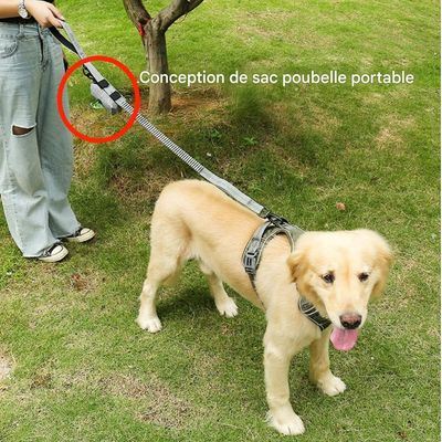 ZooVenture Laisse de chien pour moyennes et grandes tailles