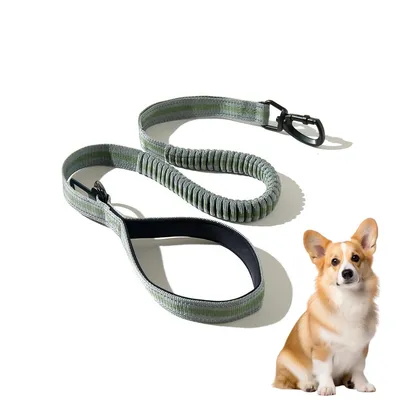 ZooVenture Laisse de chien pour moyennes et grandes tailles ZooVenture Laisse de chien pour moyennes et grandes tailles