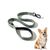 ZooVenture Laisse de chien pour moyennes et grandes tailles