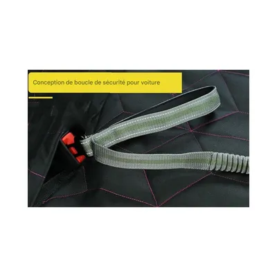 ZooVenture Laisse de chien pour moyennes et grandes tailles