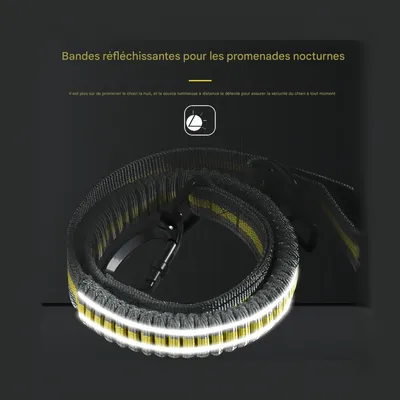 ZooVenture Laisse de chien pour moyennes et grandes tailles