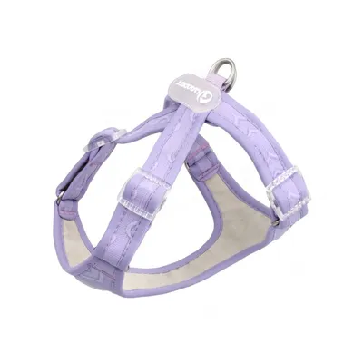 ZooVenture Conjunto de arnés y correa para perros