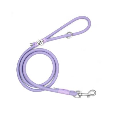 ZooVenture Ensemble harnais et laisse pour chien