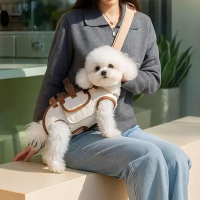 ZooVenture Sac à dos pour chien et chat