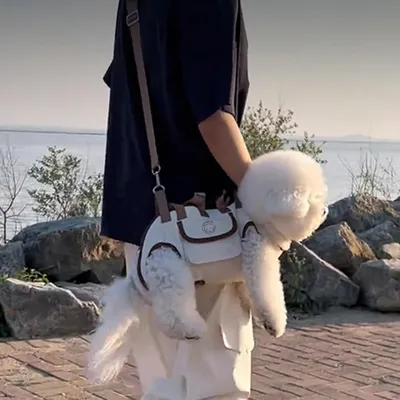 ZooVenture Sac à dos pour chien et chat