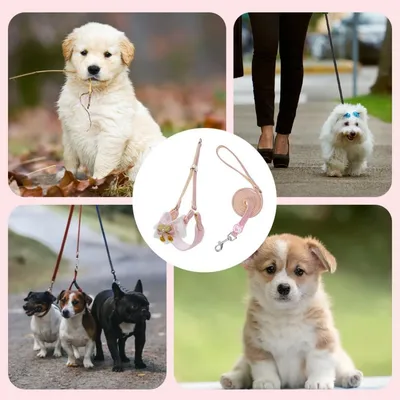 ZooVenture Harnais respirant pour chien