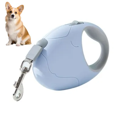 Rocky Laisse à rouleaux pour chien Rocky Laisse à rouleaux pour chien