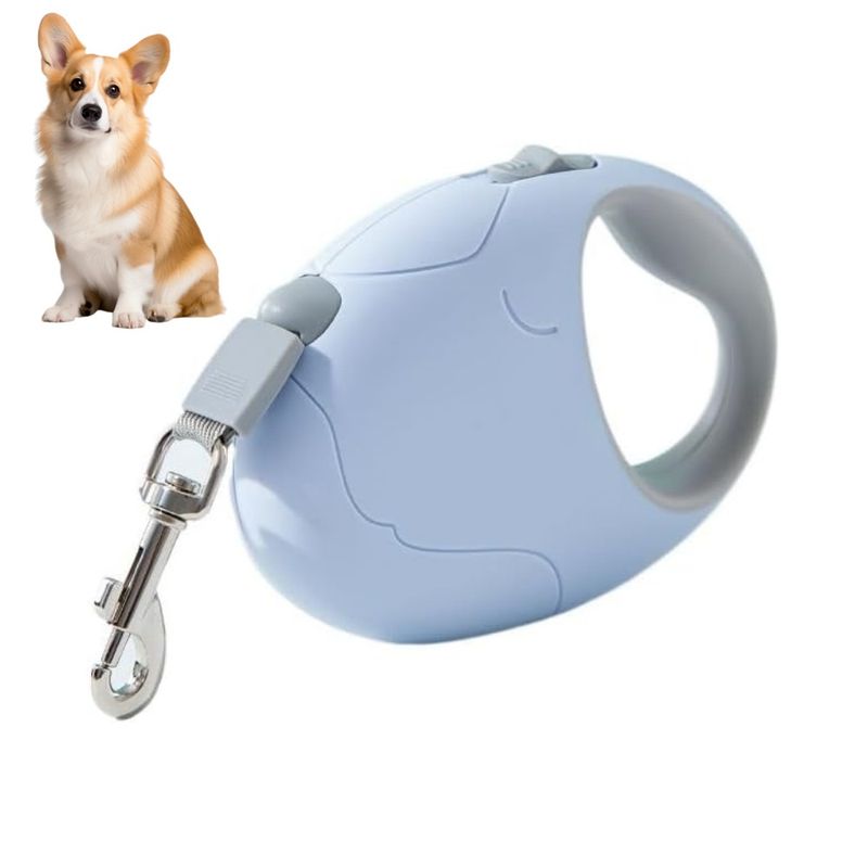 Rocky Laisse à rouleaux pour chien