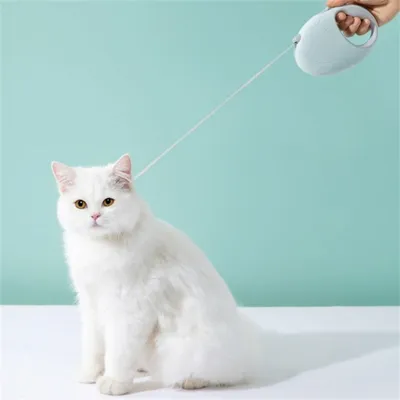 Rocky Laisse à rouleaux pour chien