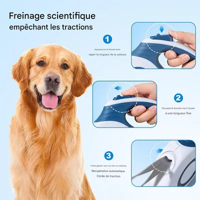 Rocky Laisse rétractable pour chien