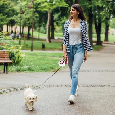 Rocky Laisse rétractable pour chien