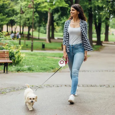 Rocky Laisse rétractable pour chien
