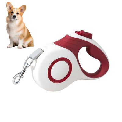 Rocky Laisse rétractable pour chien