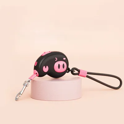 Rocky Cordon de traction pour chiens et chats