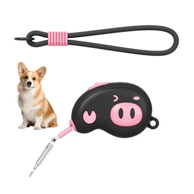 Rocky Cordon de traction pour chiens et chats