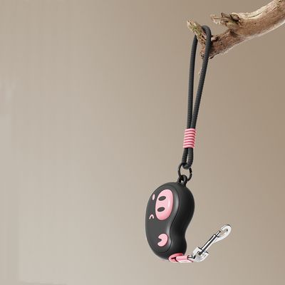 Rocky Cordon de traction pour chiens et chats