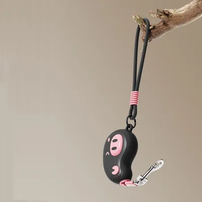 Rocky Cordon de traction pour chiens et chats