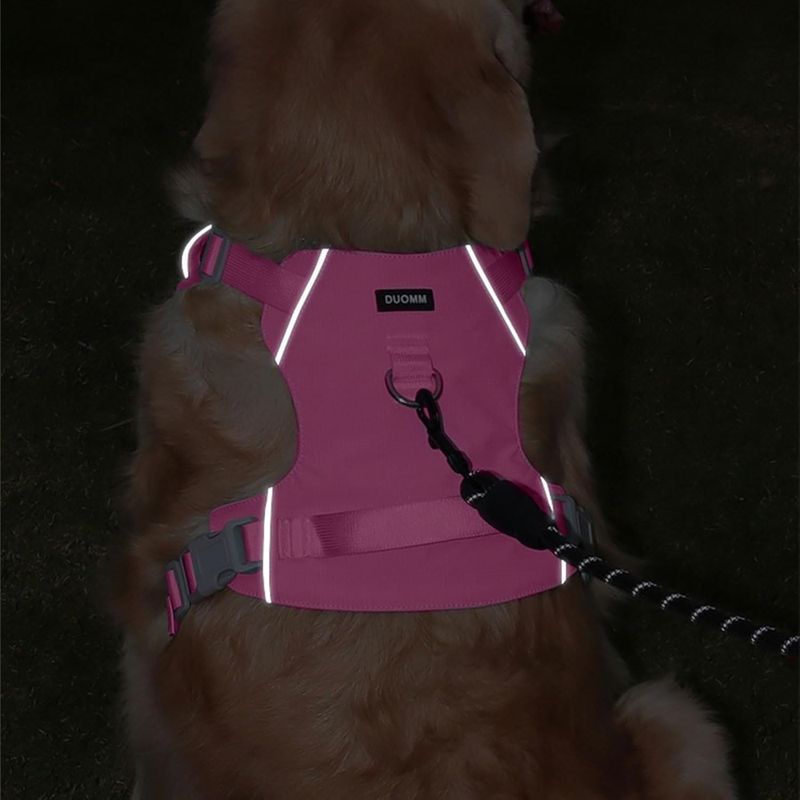 Zoomtopia Harnais NoPull pour chien