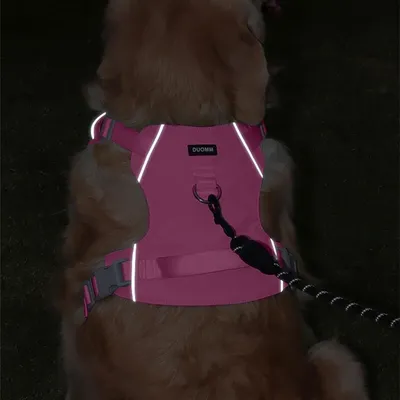 Zoomtopia Harnais NoPull pour chien