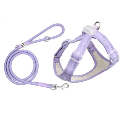 ZooVenture Ensemble harnais et laisse pour chien