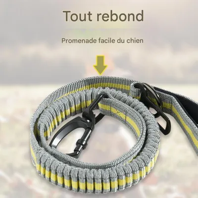 ZooVenture Laisse de chien pour moyennes et grandes tailles