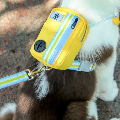 Zoomtopia Laisse pour chien avec sac à dos